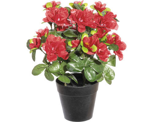 Kunstpflanze Azalee Höhe: 26 cm rot