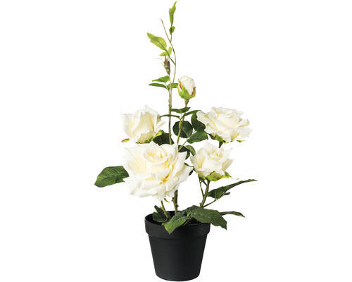 Kunstpflanze Rosenstamm im Topf Höhe: 48 cm creme