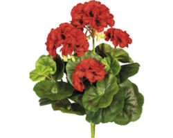 Kunstpflanze Geranienbusch Höhe: 32 cm rot