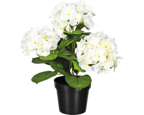 Kunstpflanze Hortensienbusch Höhe: 32 cm weiß