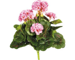 Kunstpflanze Geranienbusch Höhe: 32 cm rosa