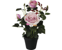 Kunstpflanze Rosenstock Höhe: 43 cm rosa