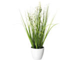 Hornbach Kunstpflanze Blüten Gras Mix Höhe: 41 cm weiß