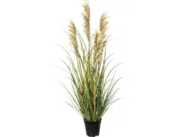 Kunstpflanze Rispenhirse Höhe: 92 cm grün