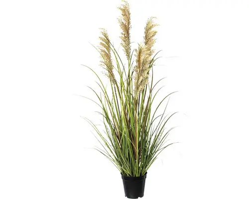 Kunstpflanze Rispenhirse Höhe: 92 cm grün