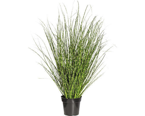 Kunstpflanze Miscanthus Höhe: 110 cm grün