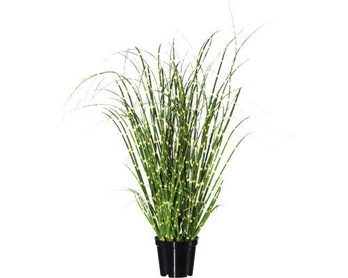 Kunstpflanze Miscanthus Höhe: 42 cm grün