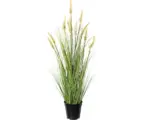 Hornbach Kunstpflanze Penisetum im Topf Höhe: 79 cm grün