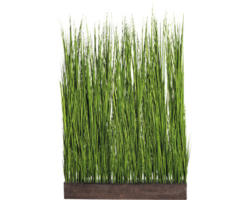 Kunstpflanze Raumteiler Gras Höhe: 150 cm grün