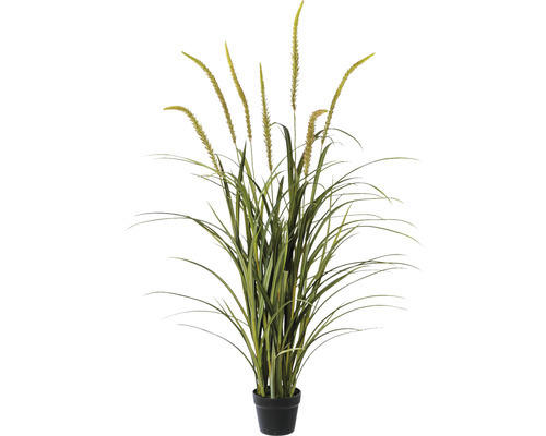 Kunstpflanze Miscanthus Höhe: 135 cm grün