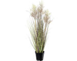 Hornbach Kunstpflanze Miscanthus Höhe: 83 cm grün