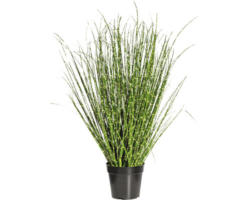 Kunstpflanze Miscanthus Höhe: 80 cm grün