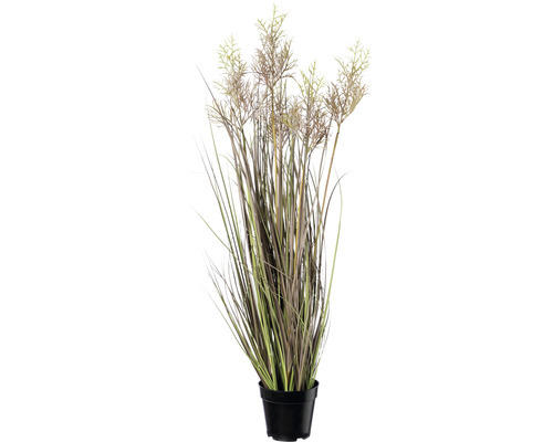 Kunstpflanze Miscanthus Höhe: 104 cm grün