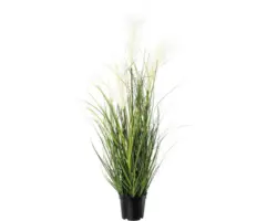 Kunstpflanze Pampasgras Höhe: 76 cm creme