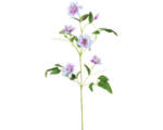 Hornbach Kunstblume Clematis Höhe: 109 cm lila