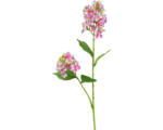 Hornbach Kunstblume Wildhortensie Höhe: 66 cm rosa
