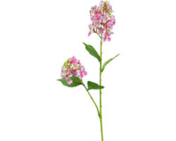 Kunstblume Wildhortensie Höhe: 66 cm rosa