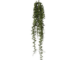 Kunstpflanze Senecio Höhe: 88 cm grün