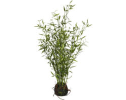 Kunstpflanze Bambus Höhe: 60 cm grün
