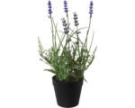 Hornbach Kunstpflanze Lavendel im Topf Ø 12 cm lila 3 Stück