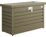 Hornbach Paket-Box biohort 100 101 x 46 cm bronze-metallic