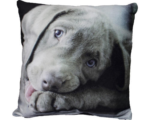 Kissen mit Fotodruck, Hund grau
