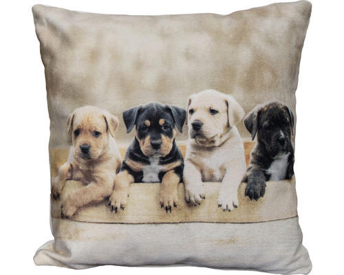 Kissen mit Fotodruck, 4 Hunde