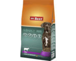 Hornbach Hundefutter trocken MR.BEEF Adult Rind 12,5 kg Rind ohne Gentechnik, ohne industriellen Zuckerzusatz, ohne Farbstoffe, ohne Soja Hergestellt in Deutschland
