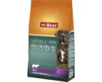 Hornbach Hundefutter trocken MR.BEEF Adult Rind 12,5 kg Rind ohne Gentechnik, ohne industriellen Zuckerzusatz, ohne Farbstoffe, ohne Soja Hergestellt in Deutschland