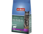 Hornbach Katzenfutter trocken MR.BEEF Activ 10 kg Rind ohne Gentechnik, ohne industriellen Zuckerzusatz, ohne Farbstoffe, ohne Soja Hergestellt in Deutschland