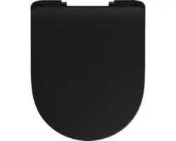 WC-Sitz Reika Mito schwarz matt Scharniere schwarz gebürstet mit Absenkautomatik