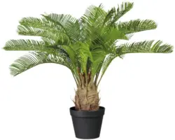 Kunstpalme Cycaspalme H 60 cm grün