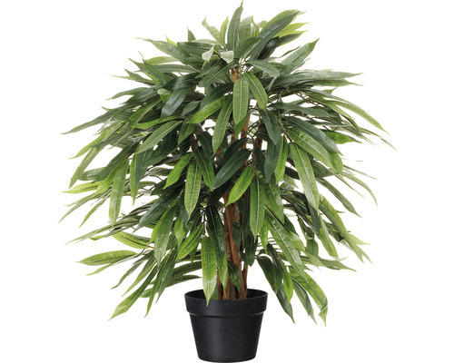 Kunstpflanze Weeping Ficus Höhe: 80 cm grün