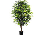 Hornbach Kunstpflanze Ficus Benjamin Höhe: 150 cm grün buschig