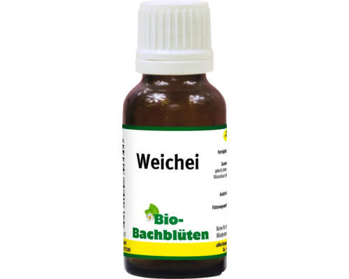 Bachblüten bei ängstlichem Charakter 20 ml