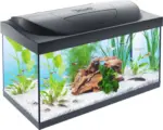 Hornbach Aquarium Tetra Starter Line inkl. Abdeckung Beleuchtung Heizer/Heizstab Futter Wasseraufbereiter Rückwandfolie Fangnetz Innenfilter 61 x 31 x 31 cm