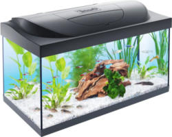 Aquarium Tetra Starter Line inkl. Abdeckung Beleuchtung Heizer/Heizstab Futter Wasseraufbereiter Rückwandfolie Fangnetz Innenfilter 61 x 31 x 31 cm