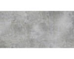 Hornbach Feinsteinzeug Bodenfliese Luna 120,0x240,0 cm grau glänzend rektifiziert