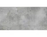 Hornbach Feinsteinzeug Bodenfliese Luna 120,0x240,0 cm grau glänzend rektifiziert