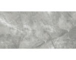 Hornbach Feinsteinzeug Bodenfliese Pulpis grey 120,0x240,0 cm grau glänzend rektifiziert