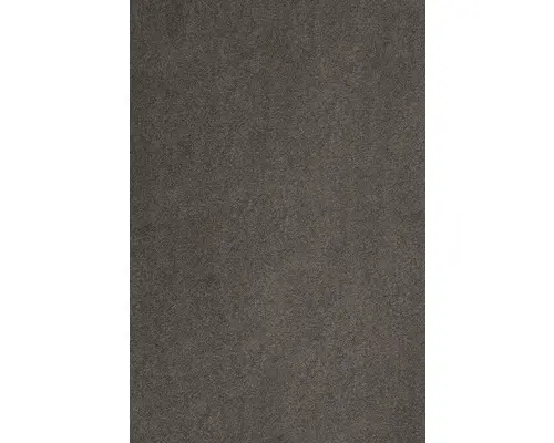 Teppichboden Kräuselvelours Proteus taupe 500 cm breit (Meterware)