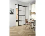Hornbach Intersteel Schiebetür-Komplettset Cubo Basic schwarz mit ESG Satiniertem Glas 98x215 cm inkl. Türblatt, Schiebetürbeschlag Basic und Griff-Set