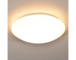 Hornbach LED Deckenleuchte 10 W Ø 300 mm, 1-flammig IP 20 weiß (CLE1P4B-D3014)