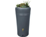 Hornbach Regenspeicher 4rain Azura 2in1 230 l graphite