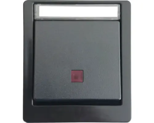 Kontrollschalter Schalter Roth Lange ROTH LANGE IP55 schwarz