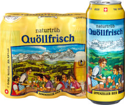 Appenzeller Bier Quöllfrisch naturtrüb, 6 x 50 cl