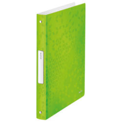 LEITZ Calssif. ad annelli WOW PP A4 4258-00-54 verde 25mm