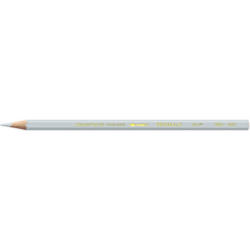 CARAN D'ACHE Crayon de couleur Prismalo 3mm 999.003 gris-clair