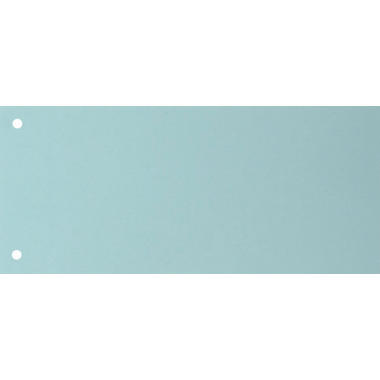 BIELLA Divisori cartone 2 fori 19919005U blu, 24x10.5cm 100 pezzi