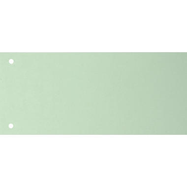 BIELLA Divisori cartone 2 fori 19919030U verde, 24x10.5cm 100 pezzi